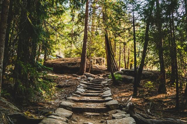 hiking