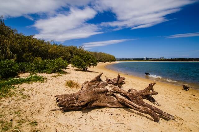 Maroochydore
