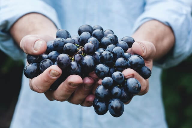 Wine Tours on the Gold Coast