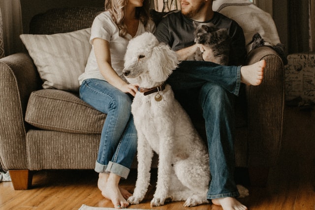 A couple with their dog