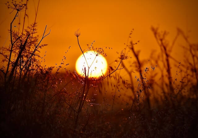 A Sunset