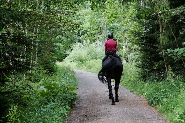 horseback riding